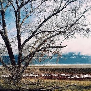 Meet your posher! :)